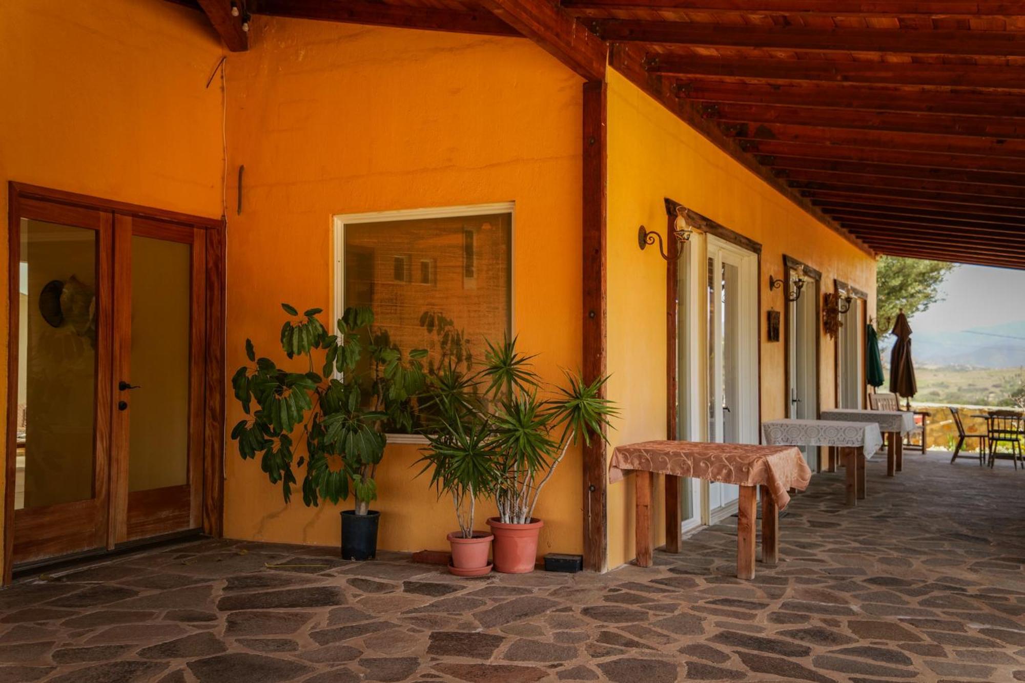 Bed and Breakfast Quinta Estrella Valle de Guadalupe Zewnętrze zdjęcie