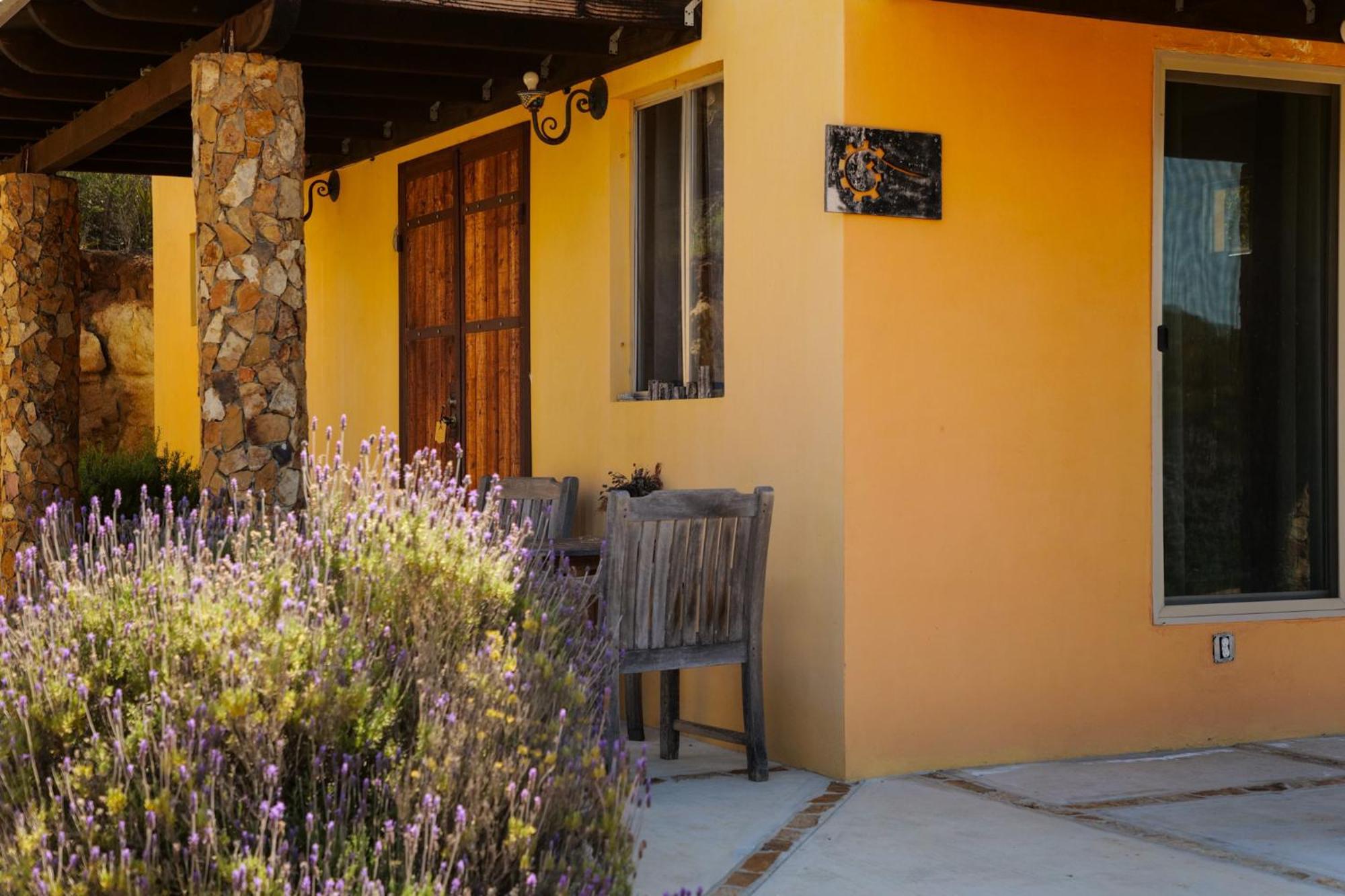 Bed and Breakfast Quinta Estrella Valle de Guadalupe Zewnętrze zdjęcie