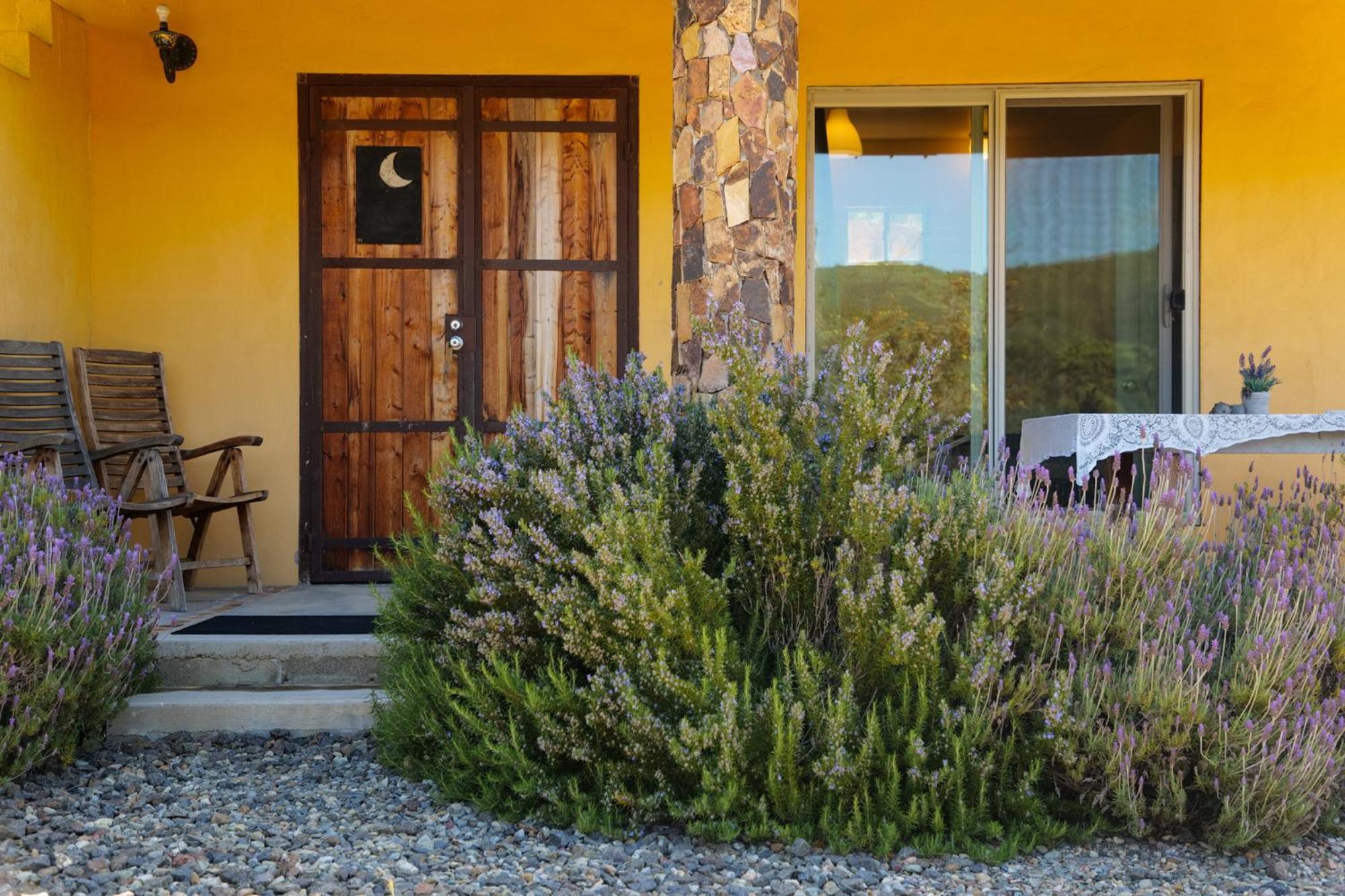 Bed and Breakfast Quinta Estrella Valle de Guadalupe Zewnętrze zdjęcie