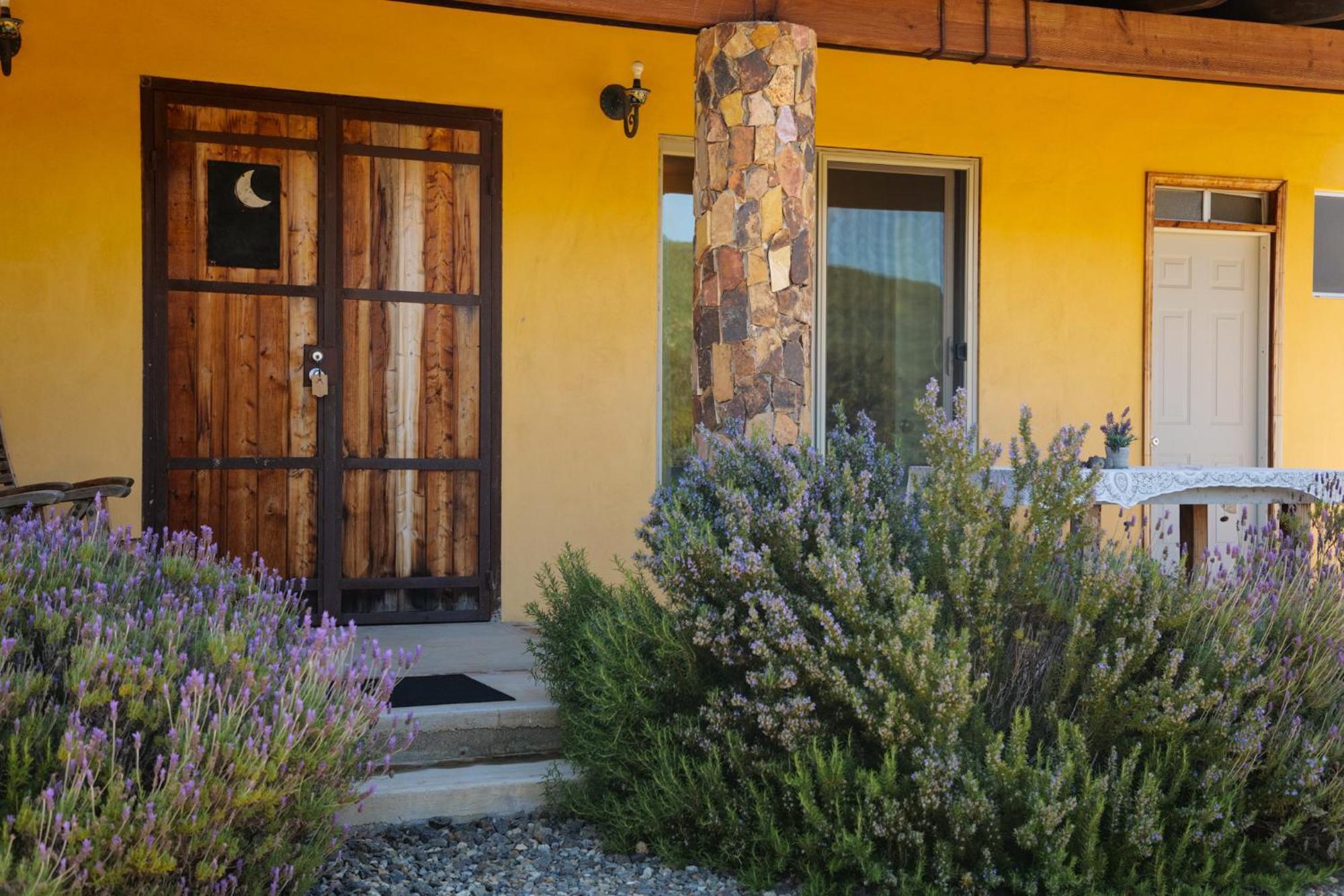 Bed and Breakfast Quinta Estrella Valle de Guadalupe Zewnętrze zdjęcie