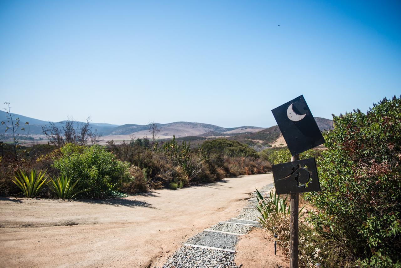Bed and Breakfast Quinta Estrella Valle de Guadalupe Zewnętrze zdjęcie